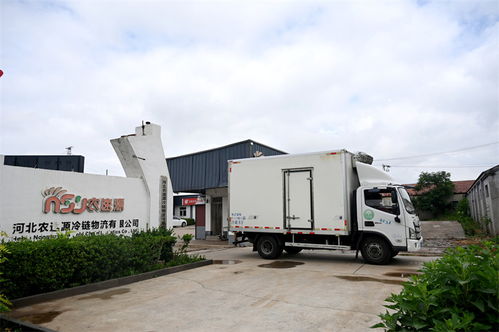 搶鮮進(jìn)京 河北凈菜變身北京市民餐桌上的好菜